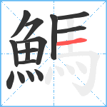 鰢笔顺分解图片15