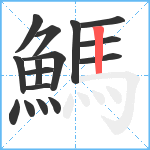 鰢笔顺分解图片16