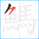 鰢笔顺分解图片2