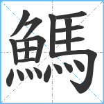 鰢笔顺分解图片22