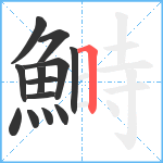 鰣笔顺分解图片13