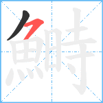 鰣笔顺分解图片2