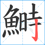 鰣笔顺分解图片20