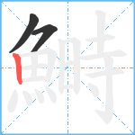 鰣笔顺分解图片3