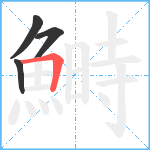 鰣笔顺分解图片4