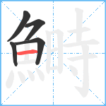 鰣笔顺分解图片5