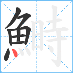 鰣笔顺分解图片9