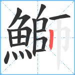 鰤笔顺分解图片19