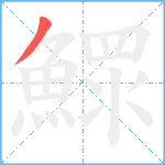 鰥笔顺分解图片1