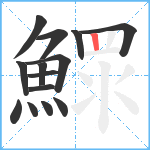 鰥笔顺分解图片14