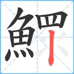 鰥笔顺分解图片17