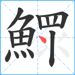 鰥笔顺分解图片18