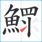 鰥笔顺分解图片19