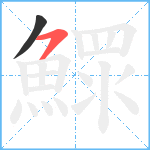 鰥笔顺分解图片2
