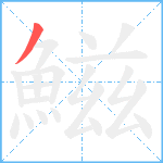 鰦笔顺分解图片1