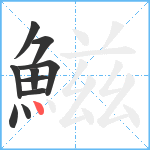 鰦笔顺分解图片10