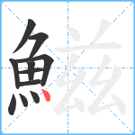 鰦笔顺分解图片11