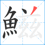 鰦笔顺分解图片13