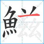 鰦笔顺分解图片14