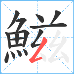 鰦笔顺分解图片16