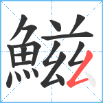 鰦笔顺分解图片19