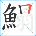 鰨笔顺分解图片13