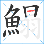 鰨笔顺分解图片14