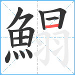 鰨笔顺分解图片15