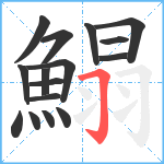 鰨笔顺分解图片16