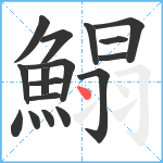 鰨笔顺分解图片17