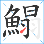 鰨笔顺分解图片18