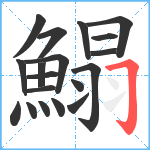 鰨笔顺分解图片19