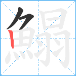 鰨笔顺分解图片3