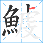 鰬笔顺分解图片13