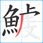 鰬笔顺分解图片15