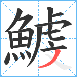 鰬笔顺分解图片20