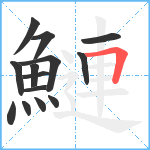 鰱笔顺分解图片14