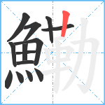 鰳笔顺分解图片14