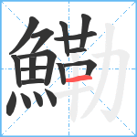 鰳笔顺分解图片18