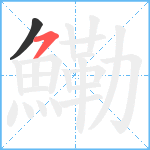 鰳笔顺分解图片2