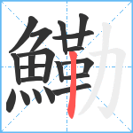 鰳笔顺分解图片20