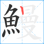 鰻笔顺分解图片12