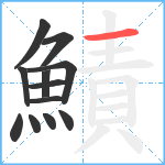 鰿笔顺分解图片12