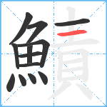 鰿笔顺分解图片13