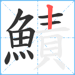 鰿笔顺分解图片14