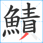 鰿笔顺分解图片21