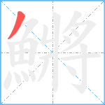 鱂笔顺分解图片1