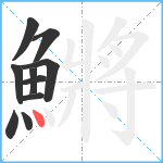 鱂笔顺分解图片10