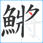 鱂笔顺分解图片18