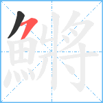 鱂笔顺分解图片2